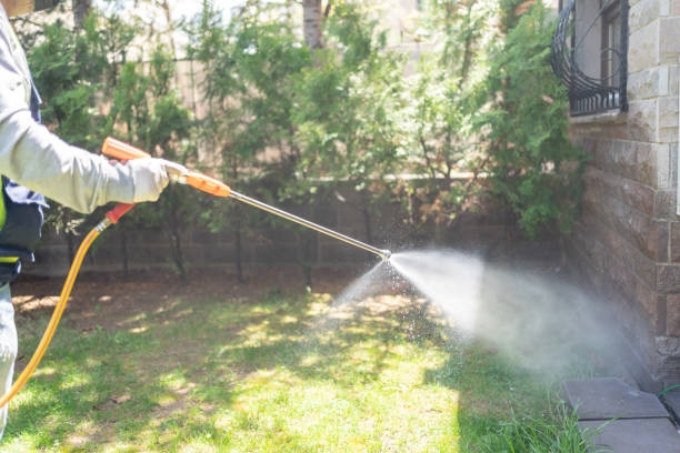 Best Pest Prevention Services  in Palm Shores, FL